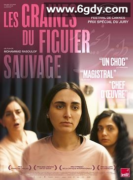 神圣无花果之种(2024)HD高清迅雷网盘磁力下载