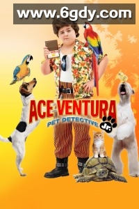 神探飞机头3(2009)HD高清迅雷网盘磁力下载