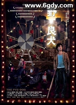 野·良犬(2007)HD高清迅雷网盘磁力下载