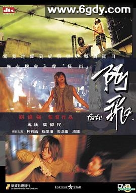 阿飞(2008)HD高清迅雷网盘磁力下载