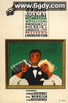 亚当的两条排骨(1964)HD高清迅雷网盘磁力下载