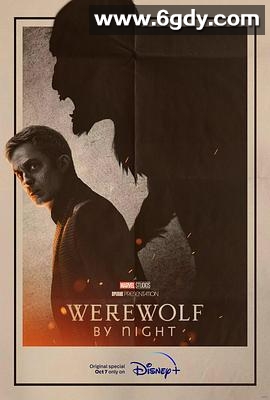 暗夜狼人(2022)HD高清迅雷网盘磁力下载