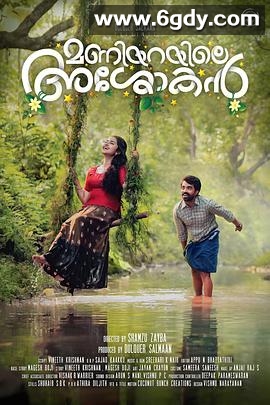 我的真爱旅程(2020)HD高清迅雷网盘磁力下载