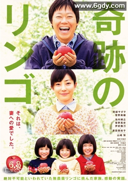 奇迹的苹果(2013)HD高清迅雷网盘磁力下载