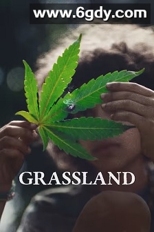 Beneath the Grass(2025)HD高清迅雷网盘磁力下载