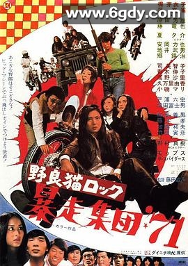 野良猫洛克：暴走集团71(1971)HD高清迅雷网盘磁力下载