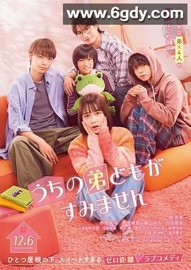 我家弟弟们给你添麻烦了(2024)HD高清迅雷网盘磁力下载