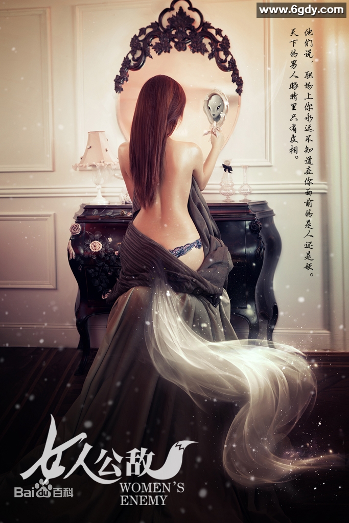 女人公敌(2013)HD高清迅雷网盘磁力下载