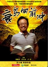 衰鸟向前冲(2013)HD高清迅雷网盘磁力下载