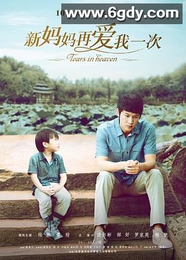 新妈妈再爱我一次(2012)HD高清迅雷网盘磁力下载