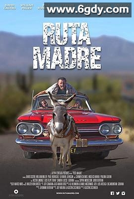 寻根问祖(2019)HD高清迅雷网盘磁力下载