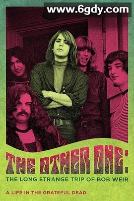 鲍勃·威尔的漫长奇异之旅(2015)HD高清迅雷网盘磁力下载