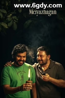 美丽的真相(2024)HD高清迅雷网盘磁力下载