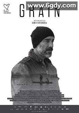 谷粒(2017)HD高清迅雷网盘磁力下载