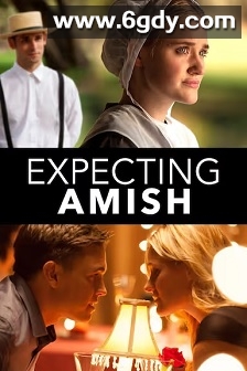 阿米什的期望(2014)HD高清迅雷网盘磁力下载