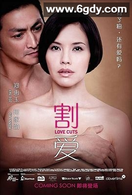 割爱(2010)HD高清迅雷网盘磁力下载