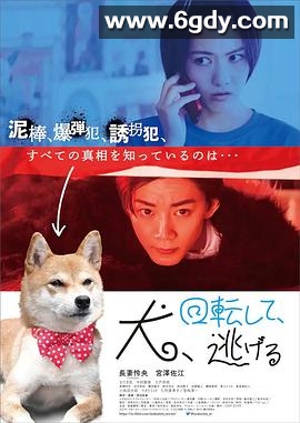 狗转了一圈 逃跑了(2023)HD高清迅雷网盘磁力下载