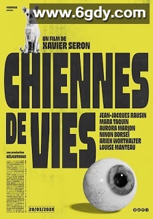 狗生(2023)HD高清迅雷网盘磁力下载