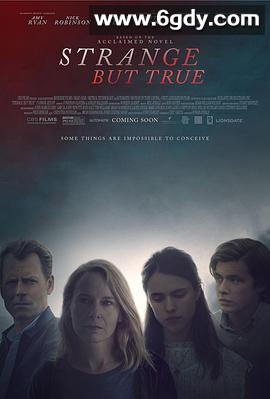 信不信由你(2019)HD高清迅雷网盘磁力下载