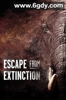 Escape from Extinction(2020)HD高清迅雷网盘磁力下载