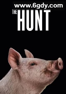 狩猎(2020)超清高清迅雷网盘磁力下载