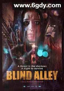 死胡同(2011)HD高清迅雷网盘磁力下载