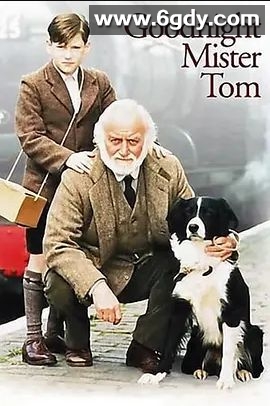 晚安，汤姆先生(1999)HD高清迅雷网盘磁力下载