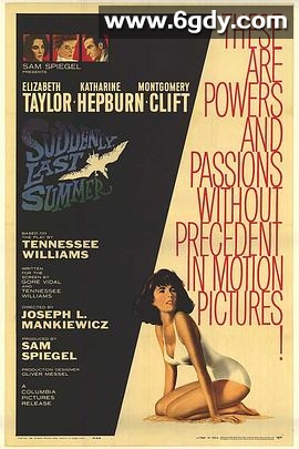 夏日痴魂(1959)HD高清迅雷网盘磁力下载