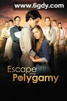 逃离多妻制(2013)HD高清迅雷网盘磁力下载