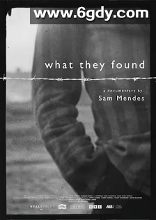 What They Found(2025)HD高清迅雷网盘磁力下载