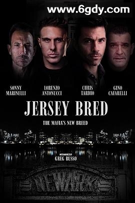 帮派风云(2024)HD高清迅雷网盘磁力下载