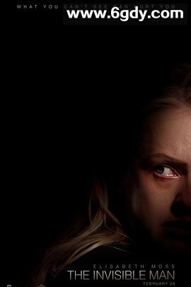 隐形人(2020)HD高清迅雷网盘磁力下载