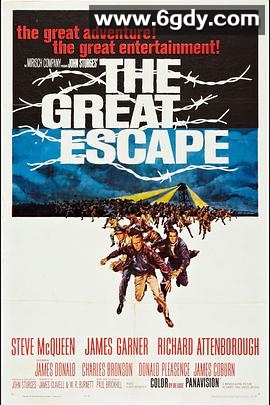 大逃亡(1963)HD高清迅雷网盘磁力下载
