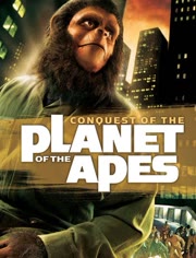 猩球征服(1972)HD高清迅雷网盘磁力下载