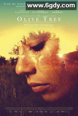 橄榄树(2016)HD高清迅雷网盘磁力下载