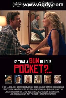 你口袋里有把枪吗？(2016)HD高清迅雷网盘磁力下载