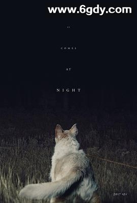 黑夜造访(2017)HD高清迅雷网盘磁力下载