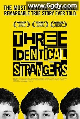 孪生陌生人(2018)HD高清迅雷网盘磁力下载