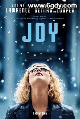 奋斗的乔伊(2015)HD高清迅雷网盘磁力下载