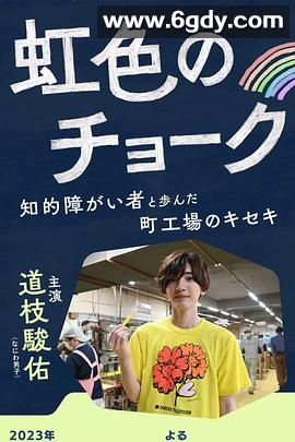 彩虹色的粉笔 与智力障碍人士同行的小镇工厂的奇迹(2023)HD高清迅雷网盘磁力下载