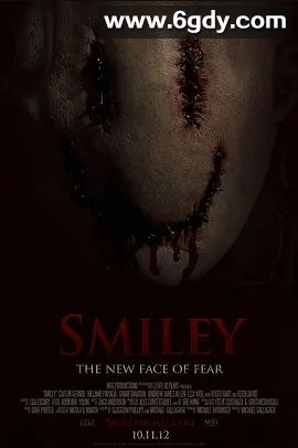 笑脸杀手(2012)超清高清迅雷网盘磁力下载