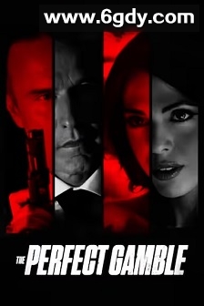 完美赌局(2025)HD高清迅雷网盘磁力下载