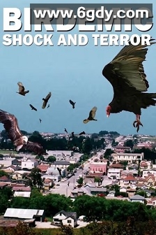 群鸟：震惊和恐怖(2010)HD高清迅雷网盘磁力下载