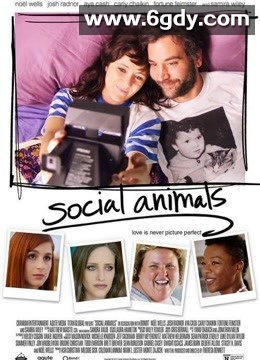 社交动物(2018)HD高清迅雷网盘磁力下载