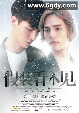 假装看不见之电影大师(2016)HD高清迅雷网盘磁力下载
