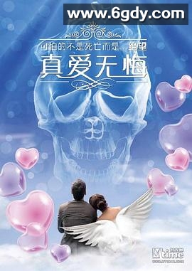 下一站再爱你(2014)HD高清迅雷网盘磁力下载
