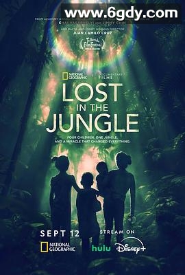 迷失丛林(2025)HD高清迅雷网盘磁力下载