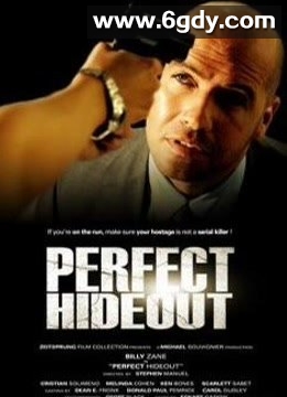 完美隐藏(2008)HD高清迅雷网盘磁力下载