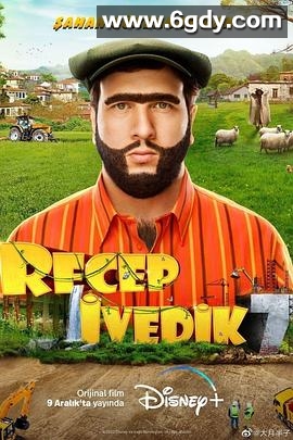 雷杰普的精彩人生7(2022)HD高清迅雷网盘磁力下载