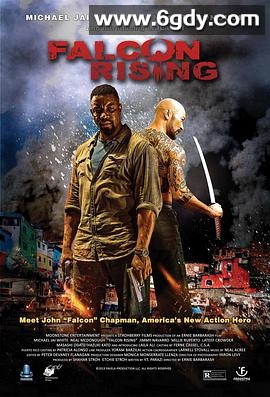 猎鹰突起(2014)HD高清迅雷网盘磁力下载